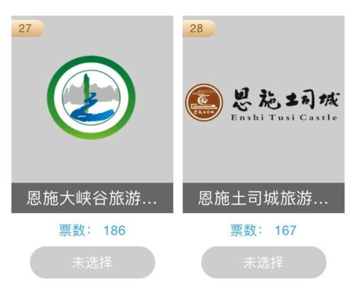 為恩施企業(yè)投票 首屆湖北省文化產業(yè)品牌選樹活動開啟