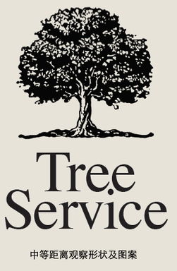 平面設(shè)計(jì)入門 如何為你的圖片選擇完美的英文字體搭配